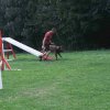 agility 2011-09